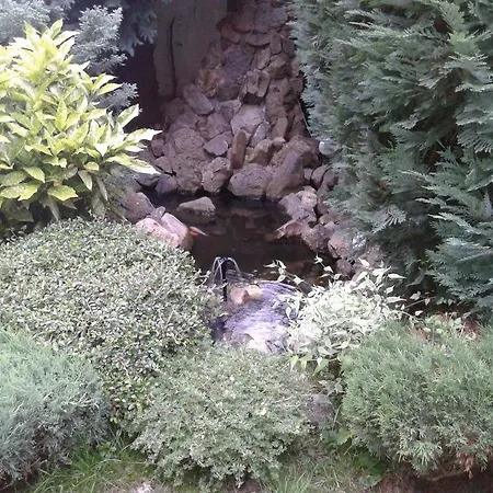 Hotel Vezhen